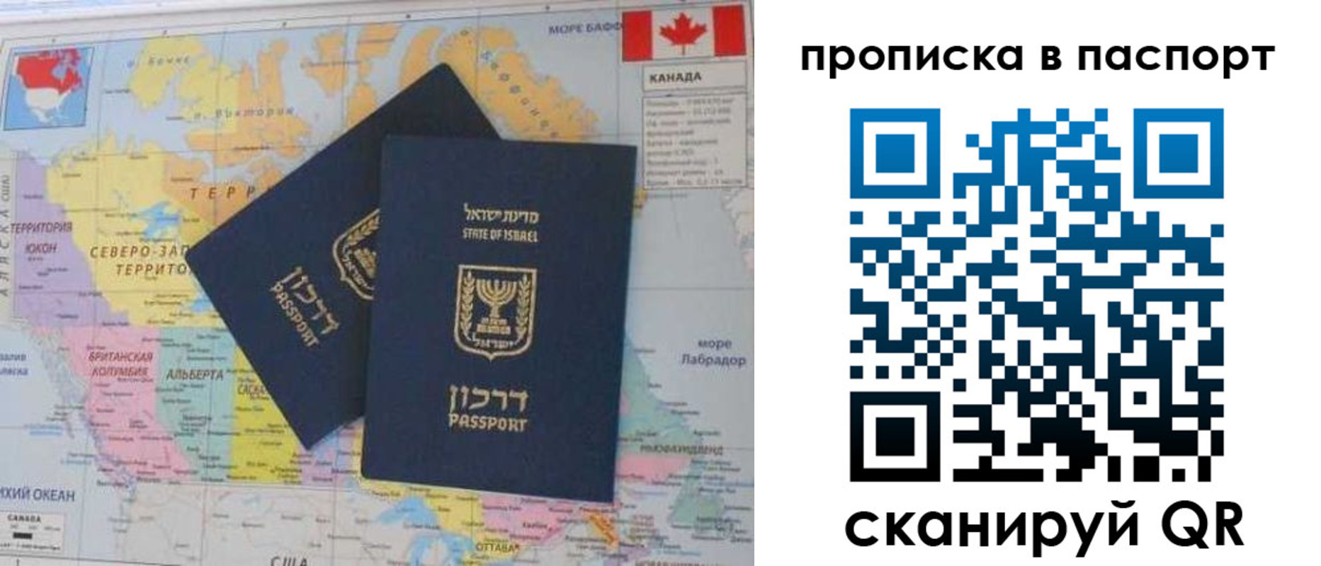 временная регистрация гарантия в Курской области